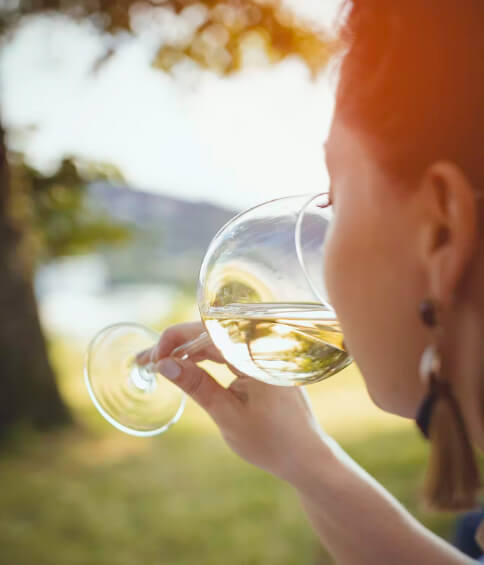 Winery Luxury Chauffeur Service