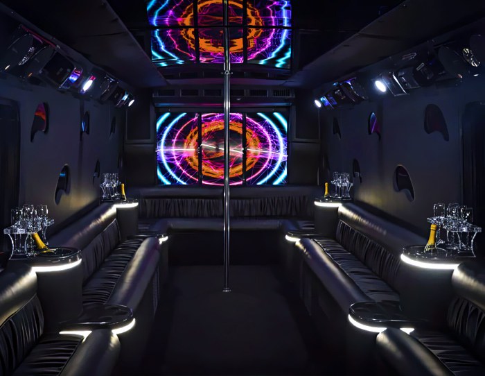 South Florida Party Bus & Limousine Service